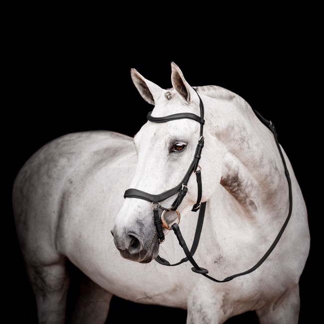 Horseware Micklem 2 Wettbewerb trensen