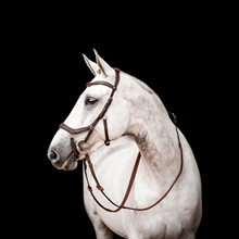 Horseware Micklem 2 Wettbewerb trensen