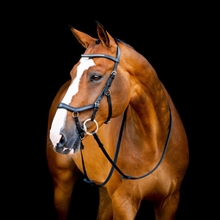 Horseware Micklem 2 Diamond Wettbewerb trensen