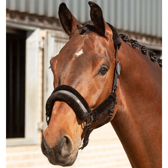 Harry\'s Horse Halfterset Denici Cavalli Stardust