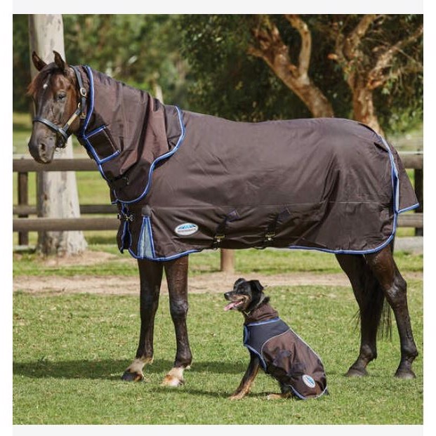 Weatherbeeta Übergangsreifen 100 Gramm Comfitec Ultra Cozi II Detach-a-neck medium/lite
