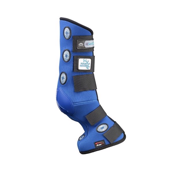 Veredus Magnetik 4 Hours Hinterbein