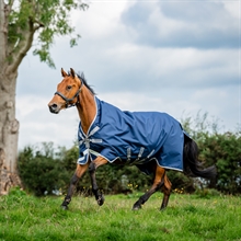 Amigo bravo 12 Wug Regendecke lite