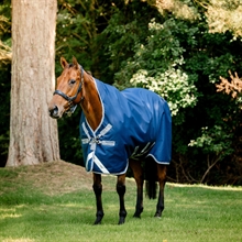 Amigo bravo 12 Wug Regendecke lite